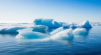 Arctic Meltdown