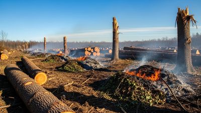 Methane Leaks