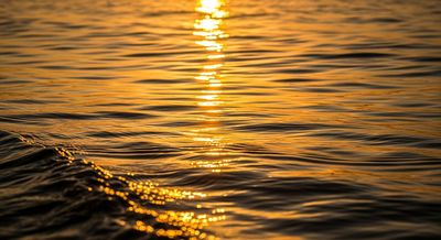 Ocean Acidification
