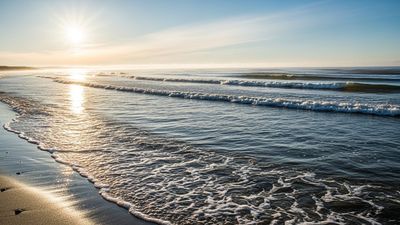 Rising Sea Levels